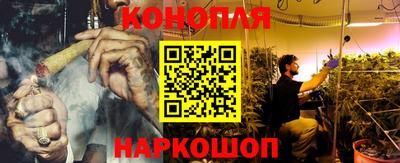 ECSTASY Камышлов