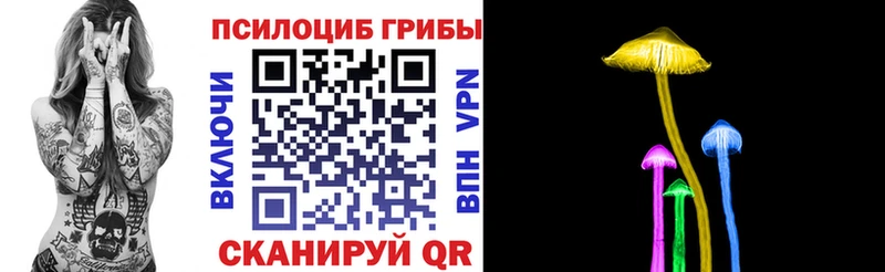 hydra ONION магазин продажи наркотиков Светлоград Псилоцибиновые грибы Psilocybe