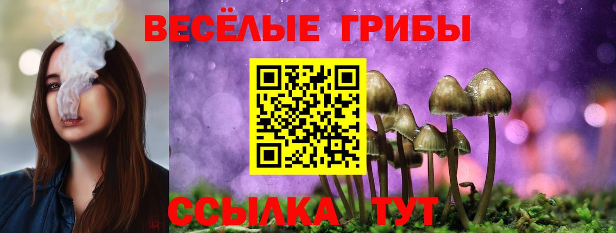 A-PVP СК кристаллы  Светлоград  Лсд 25  Меф   МАРИХУАНА  Вход с VPN  Гашиш 