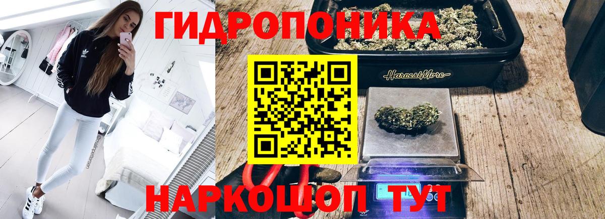 МЕФ Светлоград